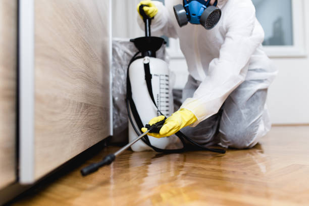 Best Commercial Pest Control Services  in Brooklyn Park, MN
