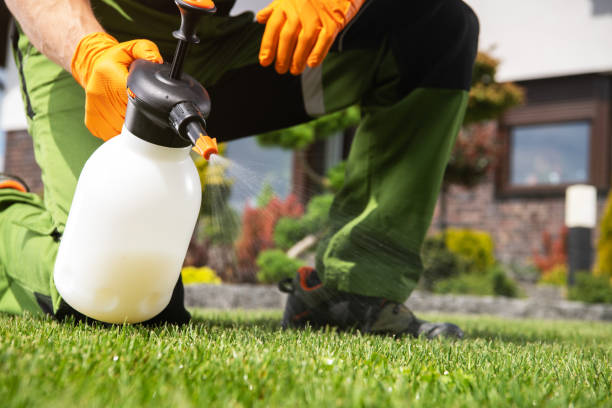 Best Exterminator Services  in Brooklyn Park, MN