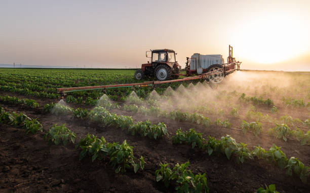 Best Mosquito Control Services  in Brooklyn Park, MN