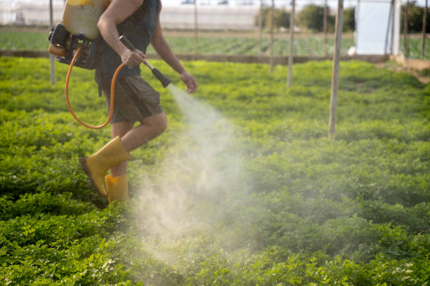 Best Pest Control Near Me  in Brooklyn Park, MN