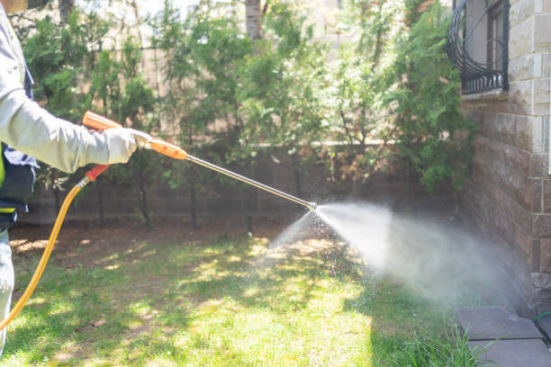 Best Residential Pest Control  in Brooklyn Park, MN