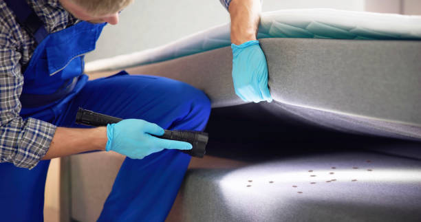 Best Pest Control for Homes  in Brooklyn Park, MN