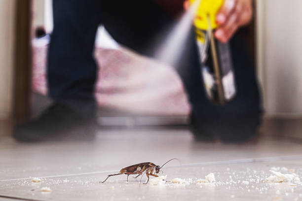 Best Pest Control Near Me  in Brooklyn Park, MN