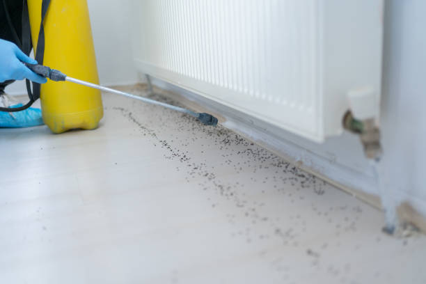 Best Pest Control Treatment  in Brooklyn Park, MN
